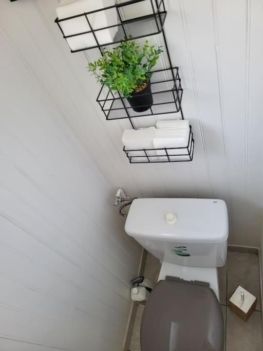 Cosy Dans Maison Proche Mett Tram Apartment *